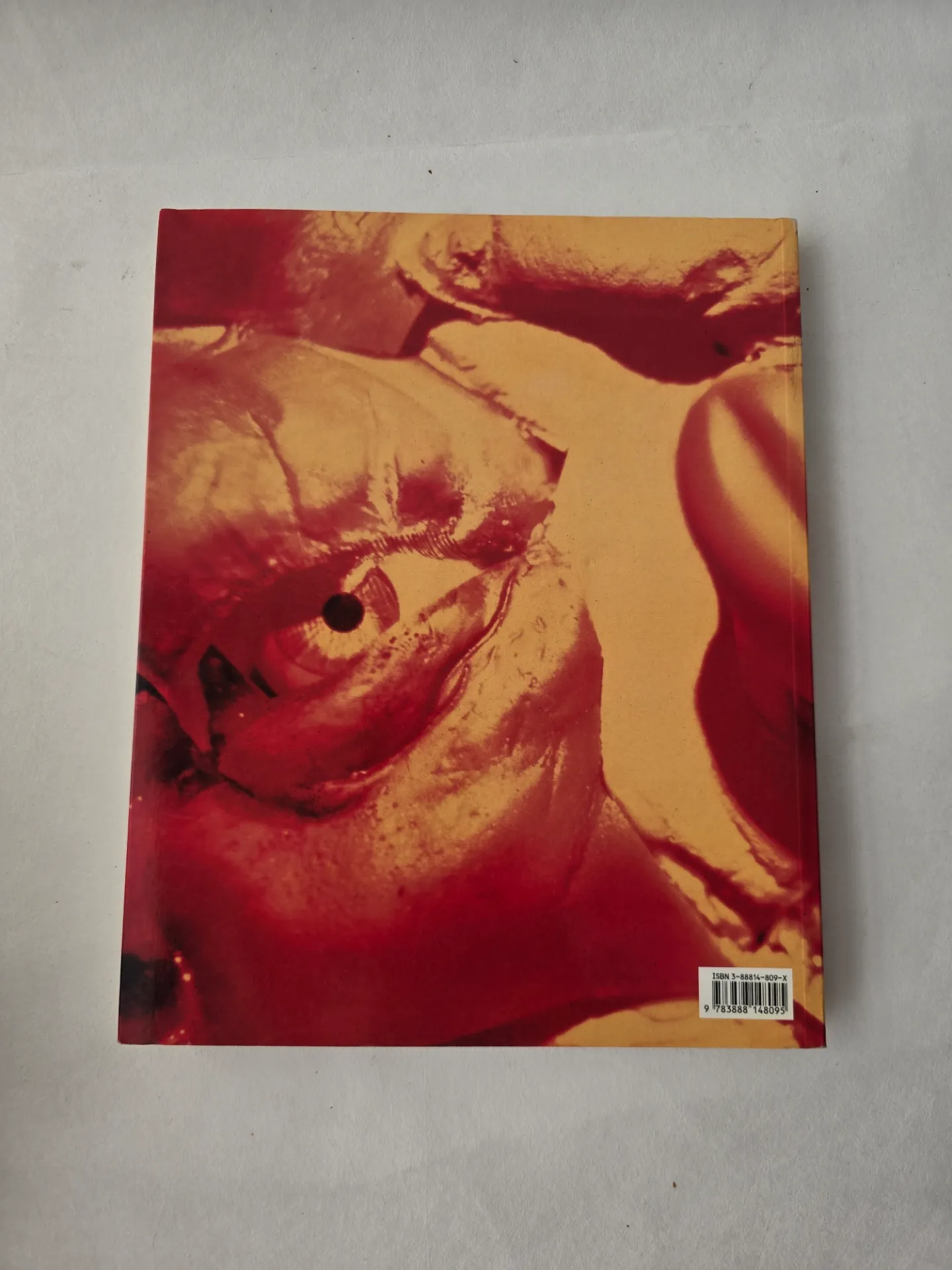 Dos d’un livre d’art Cindy Sherman, édition Photographic Works 1975–1995, avec ISBN visible.
